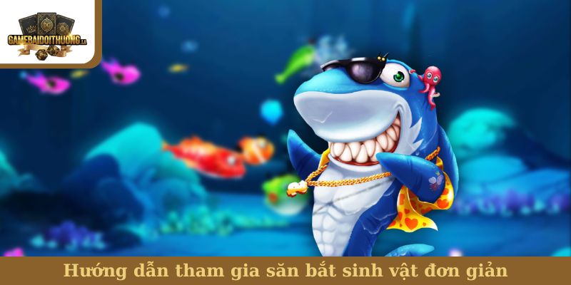 Bắn cá Hướng dẫn tham gia săn bắt sinh vật đơn giản