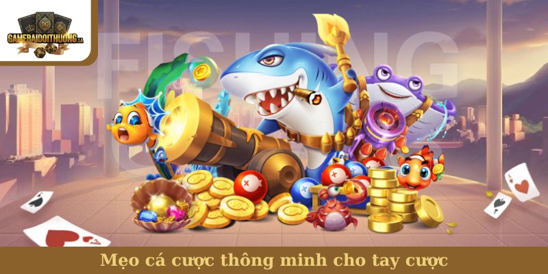 Bắn cá Mẹo cá cược thông minh cho tay cược