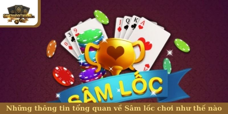Sâm lốc chơi như thế nào Những thông tin tổng quan về Sâm lốc chơi như thế nào